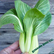 Cabbage Seeds - White Stem Pak Choi - Organic