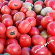 Tomato Seeds - Cherry - Pink Thai Egg