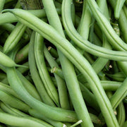 Green beans 