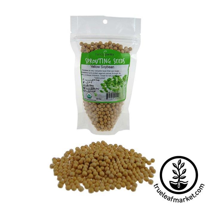buy soybean seeds for planting Yellow Soybean - Organic