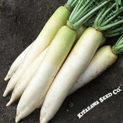 Radish Seeds - Daikon Minowase