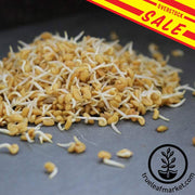 Non-GMO Organic Fenugreek