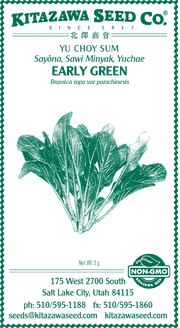 Retail Packet Design - Green Print - Yu Choy Sum Seed Packet - Early Green