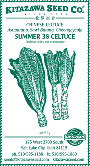 Retail Packet Design - Green Print - Lettuce Seed Packet - Pointed Taiwan Sword Leaf