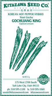 Retail Packet Design - Green Print - Pepper Seed Packet - Hot - Gochujang King Hybrid