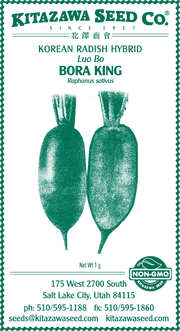 Retail Packet Design - Green Print - Radish Seed Packet - Bora King Hybrid