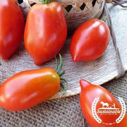 Tomato Seeds - Paste - Amish Paste (Organic)