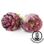 Artichoke Seeds - Violet Star