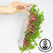 Premium Bamboo Microgreens Grow Mats