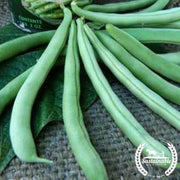 Bean Seeds - Bush - Tendergreen - Organic