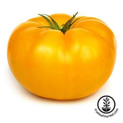 Tomato Seeds - Slicing - Beefsteak Yellow