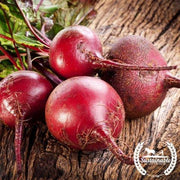 Beet Seeds - Bulls Blood - Organic