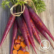 Carrot Seeds - Purple