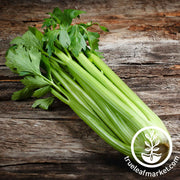 Celery Seeds - Golden Self Blanching