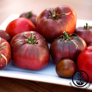 Tomato Seeds - Slicing - Cherokee Purple