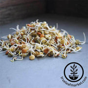 Crunchy Lentil Fest Organic