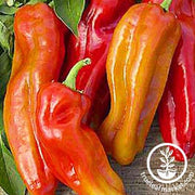 Pepper Seeds - Sweet - Cubanelle