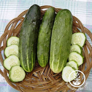 Cucumber Seeds - Ashley