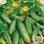 Cucumber Seeds - Boston Pickling - Organic