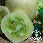 Cucumber Seeds - Crystal Apple