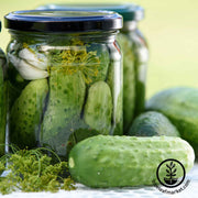 Cucumber Seeds - Homemade Pickles