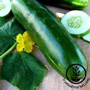 Cucumber Seeds - Long Green Imp. Slicing