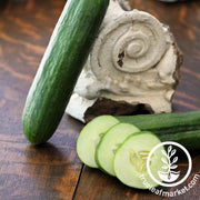 Cucumber Seeds - Tendergreen Burpless