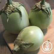 Eggplant Seeds - Apple Green