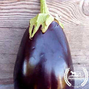 Eggplant Seeds - Black Beauty - Organic