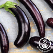 Eggplant Seeds - Little Finger Purple