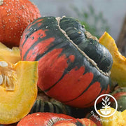 Gourds Seeds - Turks Turban