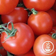 Tomato Seeds - Slicing - Homestead