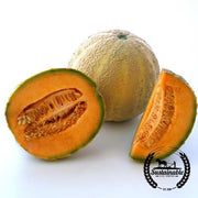 Melon Seeds - Honey Rock - Organic