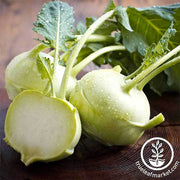 Kohlrabi Seeds - Early White Vienna