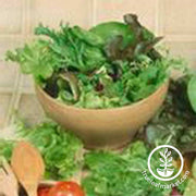 Lettuce Seeds - Mixed Greens - Gourmet Mixture