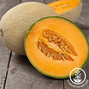 Melon Seeds - Cantaloupe - Hearts of Gold