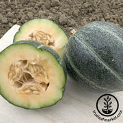 Melon Seeds - Emerald Gem