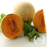 Melon Seeds - Hearts of Gold - Organic