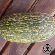 Melon Seeds - Piel de Sapo