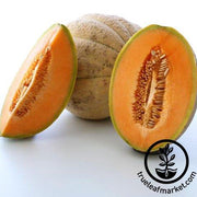 Melon Seeds - Tuscany