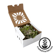 Sustainable Produce & Microgreens Container