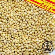 Millet - Hulled (Organic)