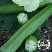 Okra Seeds - Clemson Spineless 80 - Organic