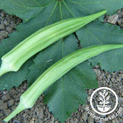 Okra Seeds - Cows Horn