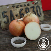 Onion Seeds - Texas 1015 Super Sweet