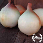 Onion Seeds - Long - Walla Walla (Organic)