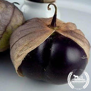 Tomatillo Seeds - Purple - Organic