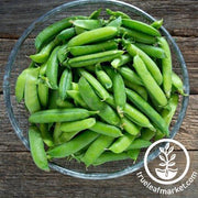 Pea Seeds - Snap (Edible Pod) - Cascadia