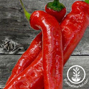 Pepper Seeds - Hot - Chile De Arbol