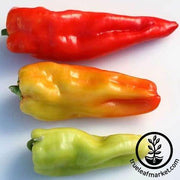 Pepper Seeds - Sweet - Giant Aconcagua